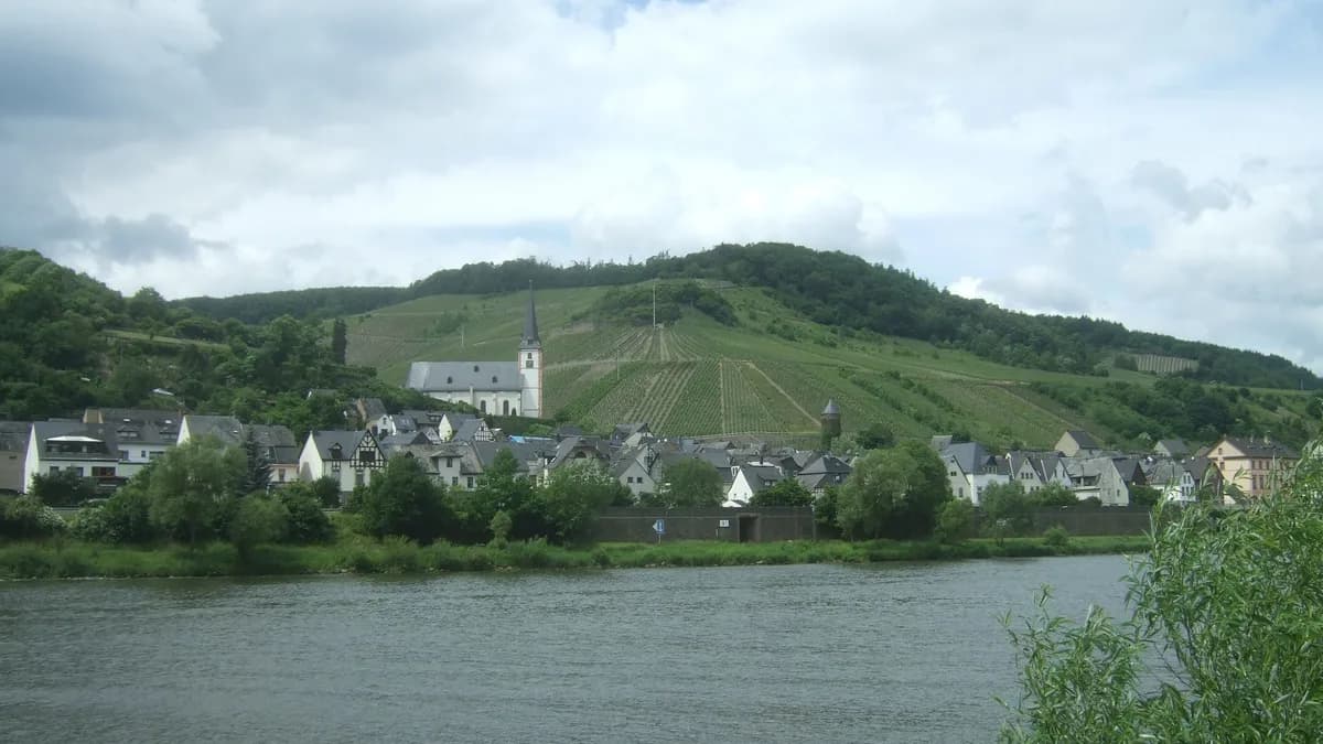 Stadtansicht von Briedel