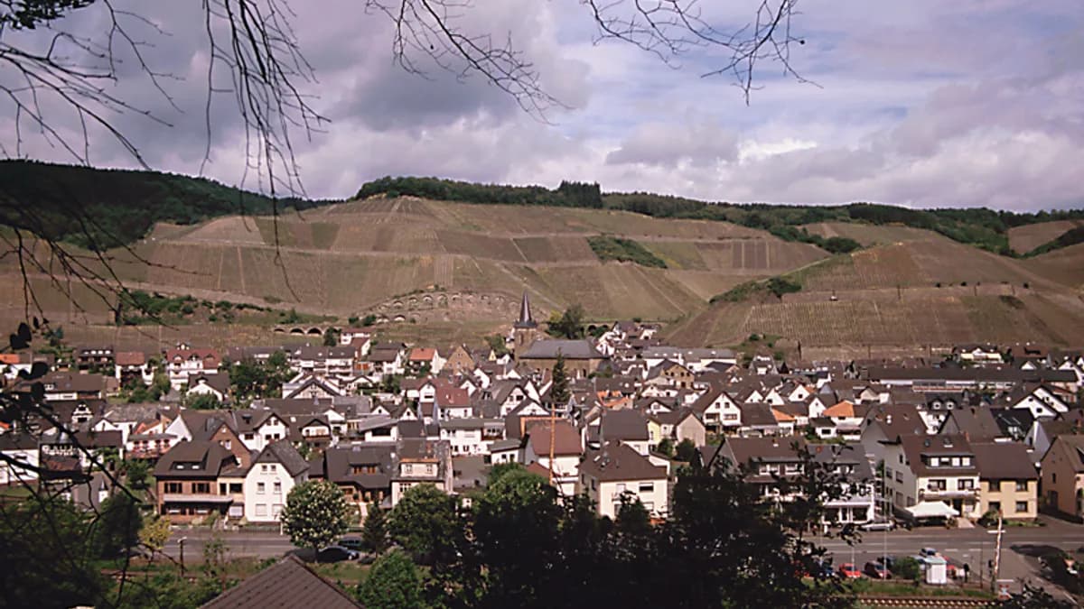 Stadtansicht von Dernau