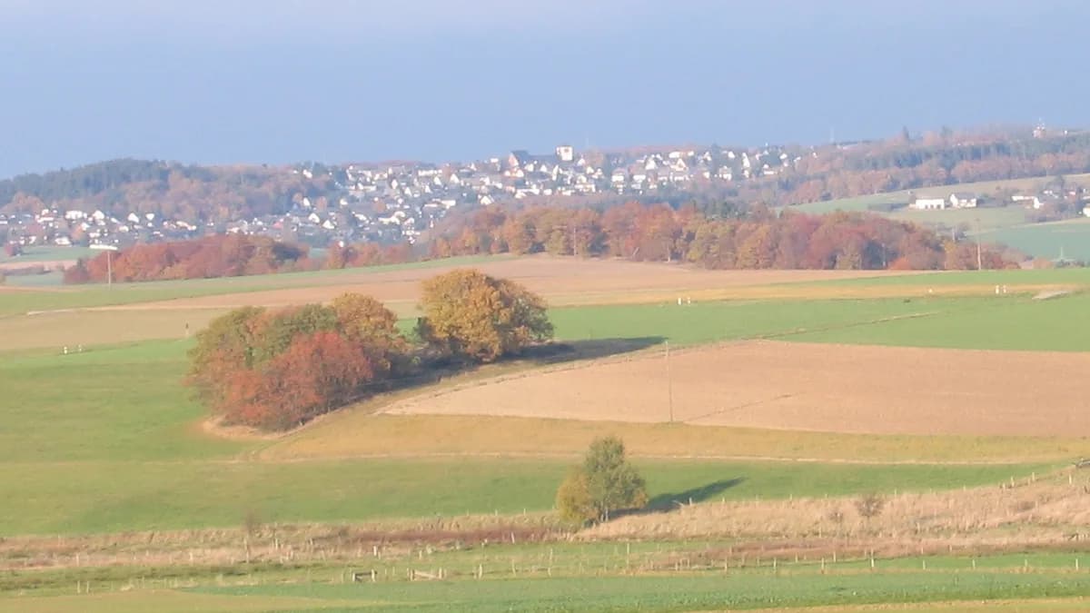 Stadtansicht von Emmelshausen