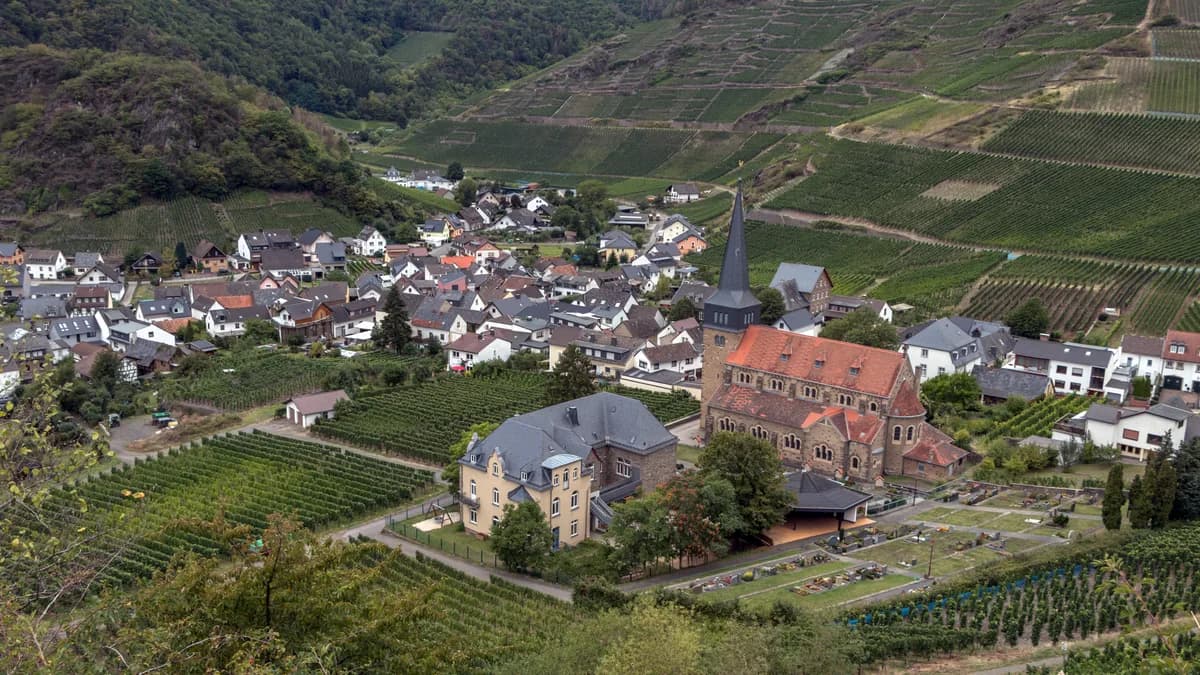 Stadtansicht von Mayschoß