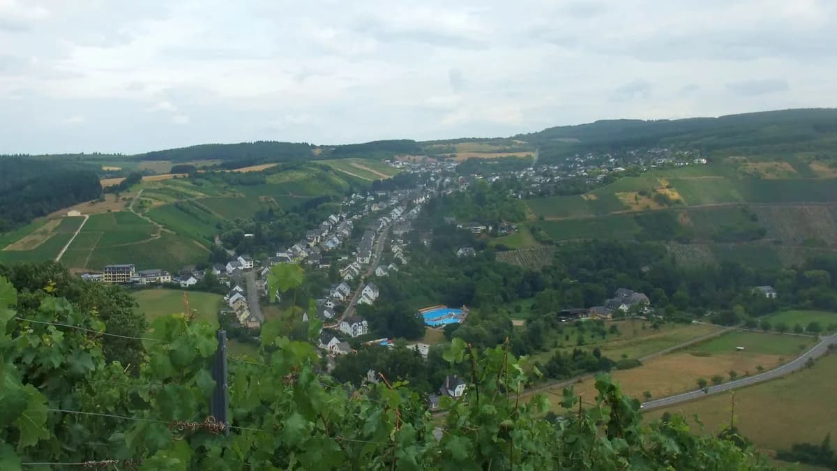 Stadtansicht von Mertesdorf