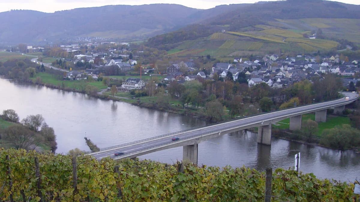 Stadtansicht von Mülheim (Mosel)