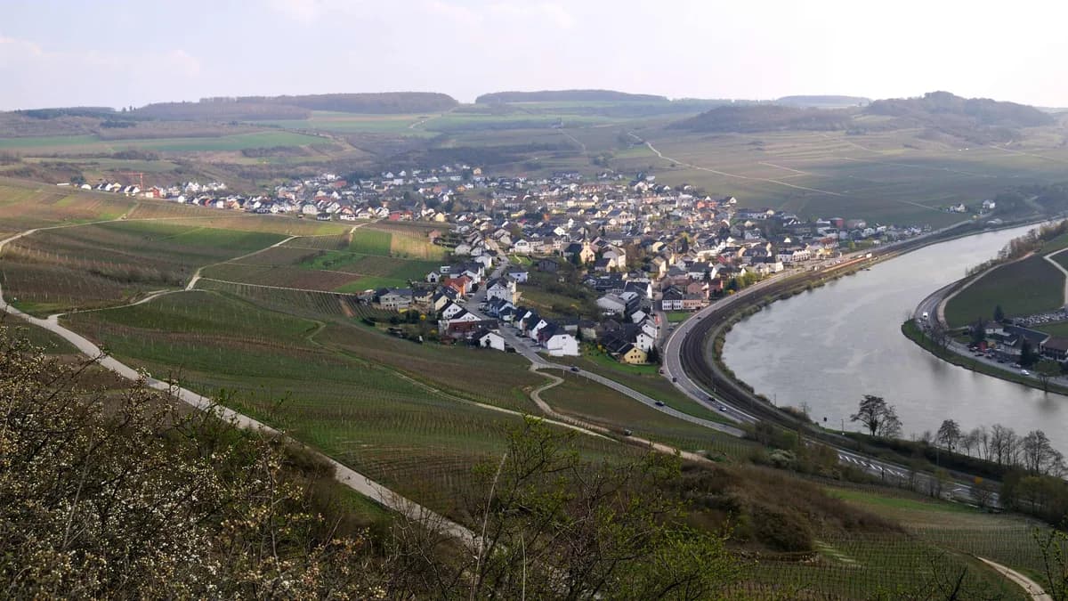 Stadtansicht von Nittel