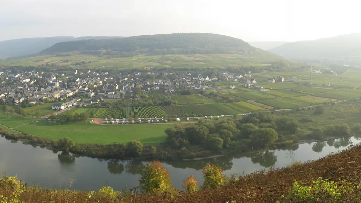 Stadtansicht von Pünderich