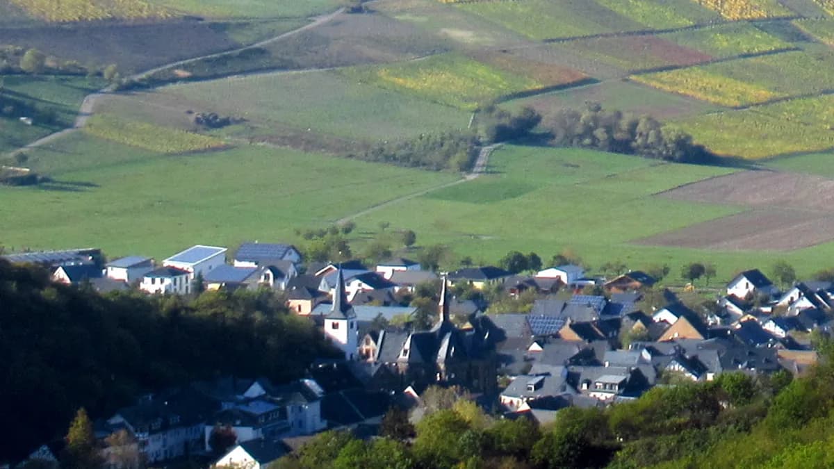 Stadtansicht von Veldenz