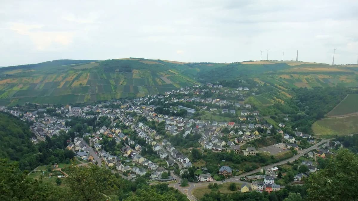 Stadtansicht von Waldrach