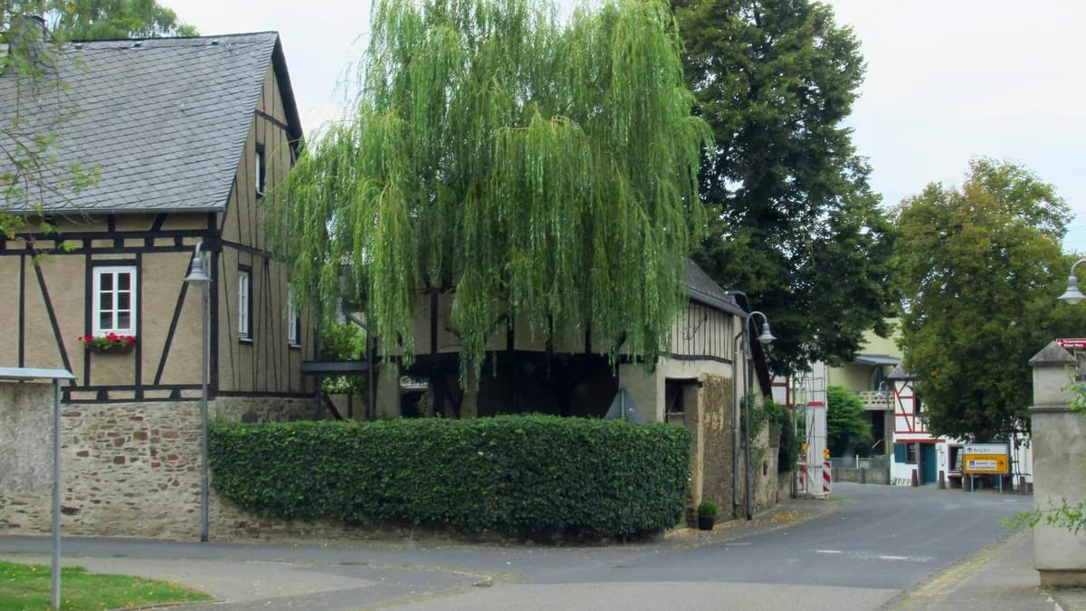Stadtansicht von Wierschem