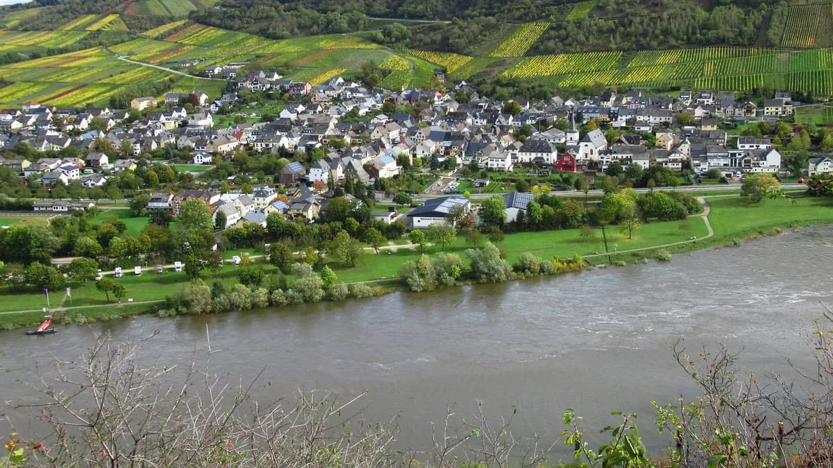 Stadtansicht von Wintrich