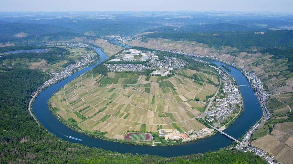Stadtansicht von Zell (Mosel)