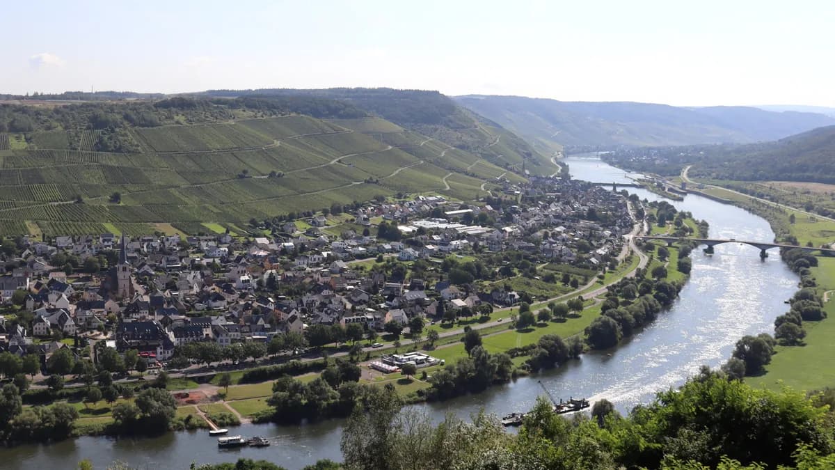 Stadtansicht von Zeltingen-Rachtig